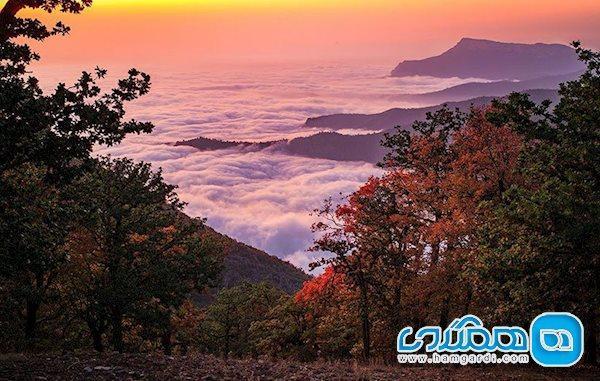 ممنوعیت ورود گردشگران به جنگل ابر اعلام شد ممنوعیت ورود گردشگران به جنگل ابر اعلام شد