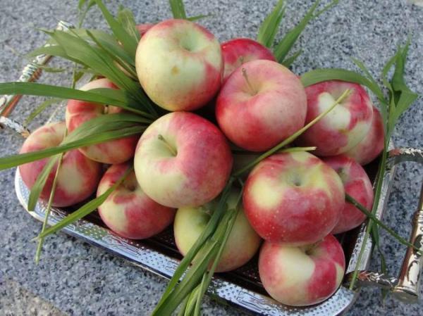 خواص فراوان سیب گلاب برای سلامتی