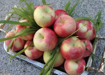 خواص فراوان سیب گلاب برای سلامتی